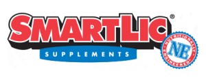 smartlic logo